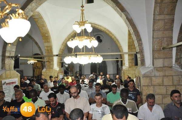 trawe7 7san bek 715 (5).JPG